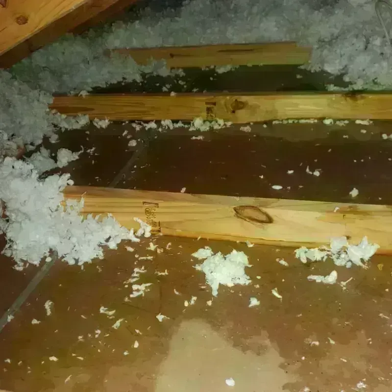 Attic Water Damage in McDonough, GA