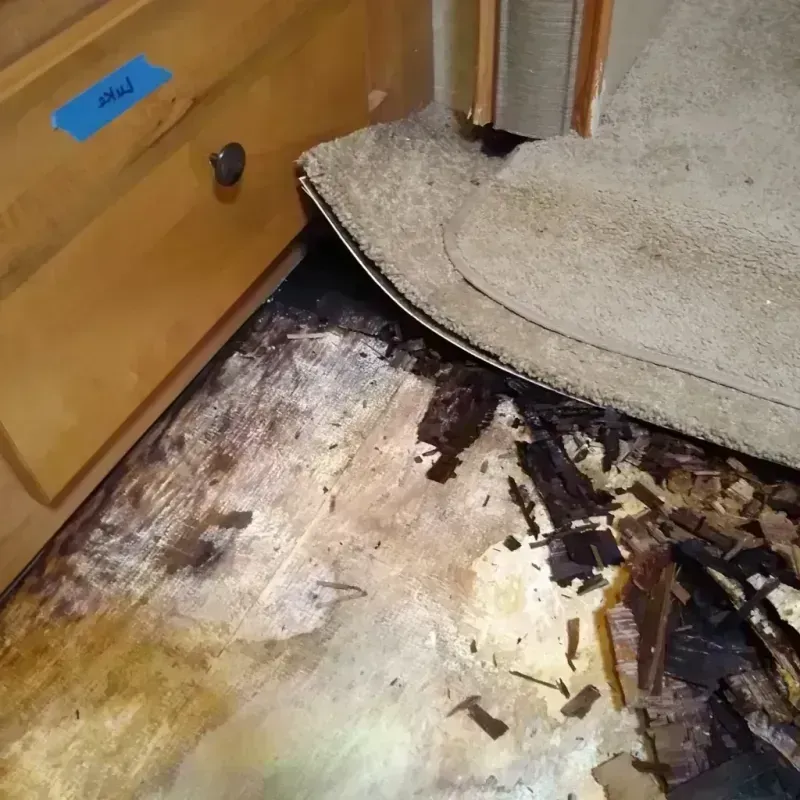 Wood Floor Water Damage in McDonough, GA